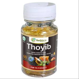 THOYIB HABBATUSSAUDA